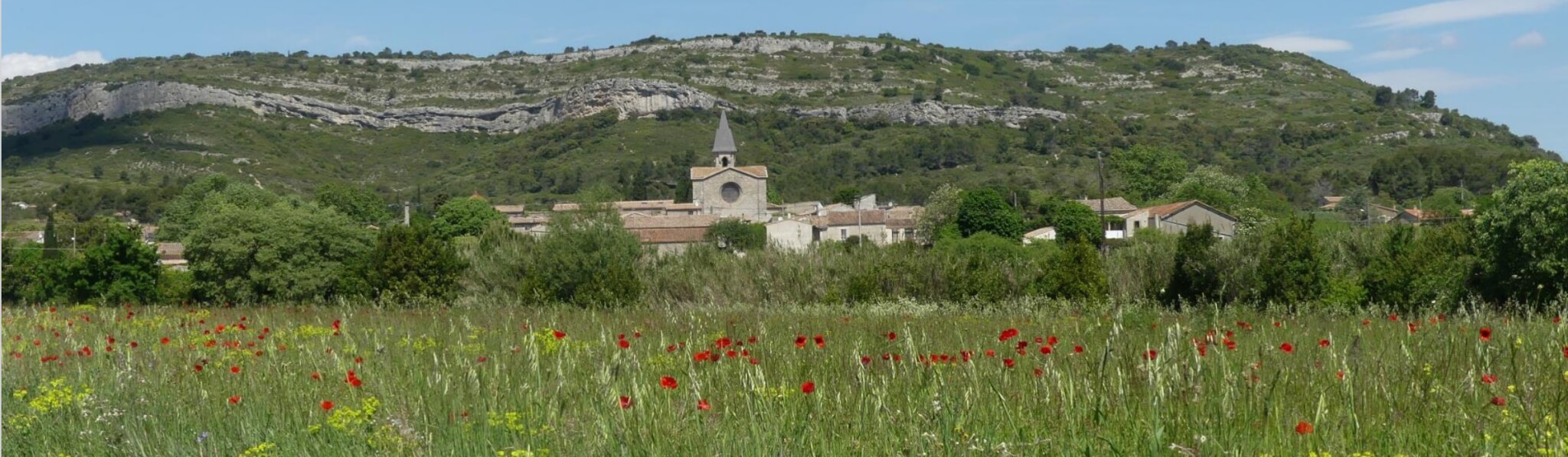 Saint-Bauzille-de-Montmel Saint-Bauzille-de-Montmel
